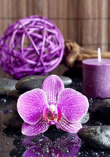 How Do I Choose the Best Fragrance Company?