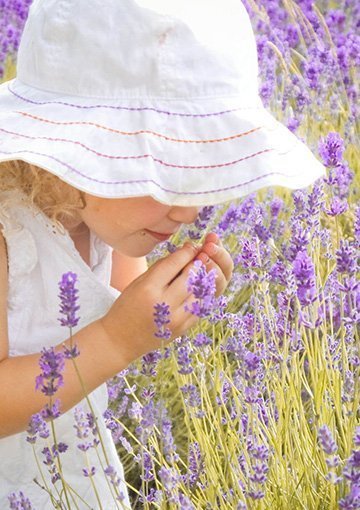 8 Tips for Doing Fragrance Creation The Right Way