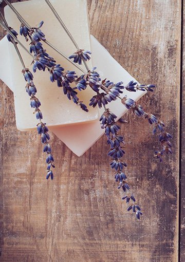 Trends in Natural Fragrance