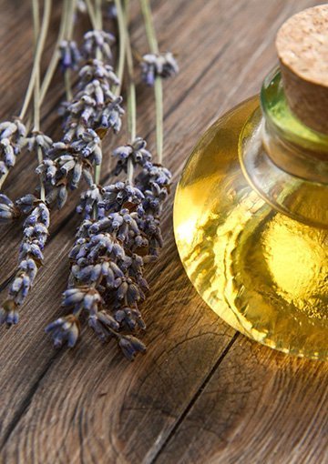 Captivating Your Consumers by Appealing to Their Sense of Smell