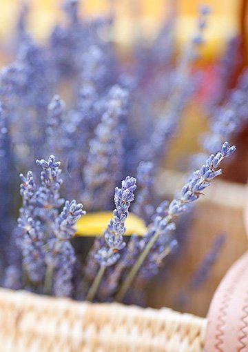What Note Are You Striking with Your Signature Fragrance?
