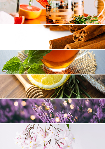 5 Sunny Scents that Elevate your Senses