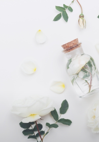 What makes a great fragrance company?