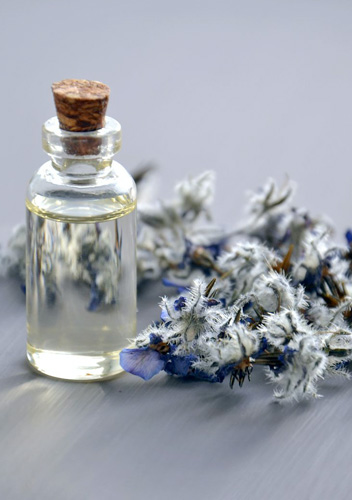 Fragrance notes – A blend of Science and Creativity