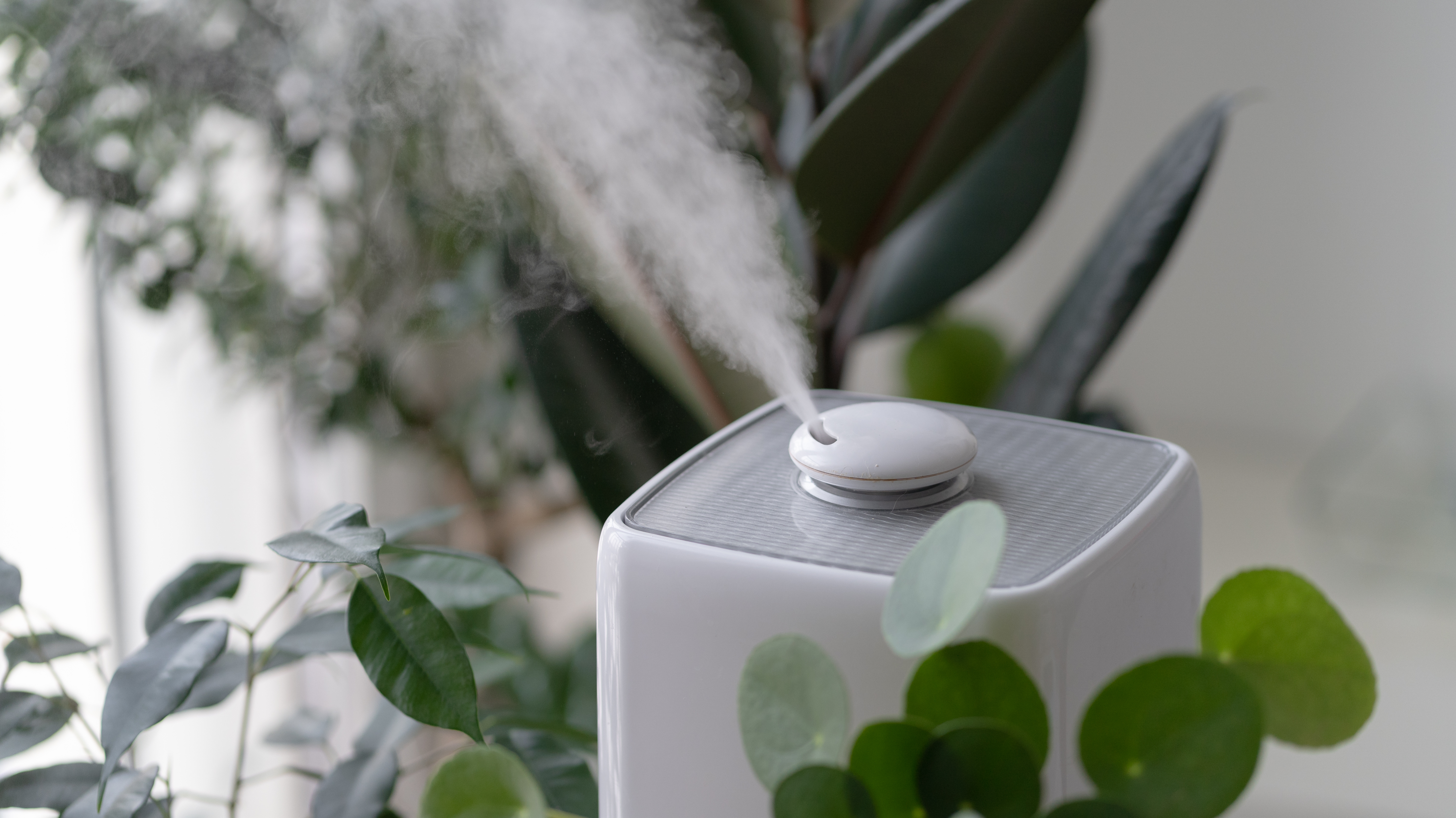 Air Fresheners